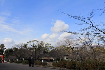 2013_shiwasu_kyoto_03.jpg