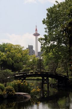 kyoto_tower016.jpg