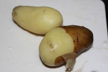 potato_2.jpg