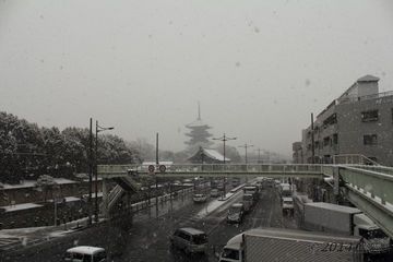 toji_snow2014-02#2_01.jpg