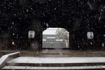 toji_snow2014-02#2_03.jpg