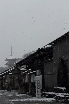 toji_snow2014-02#2_06.jpg