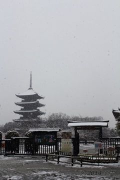 toji_snow2014-02#2_08.jpg