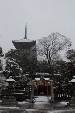 toji_snow2014-02#2_10.jpg